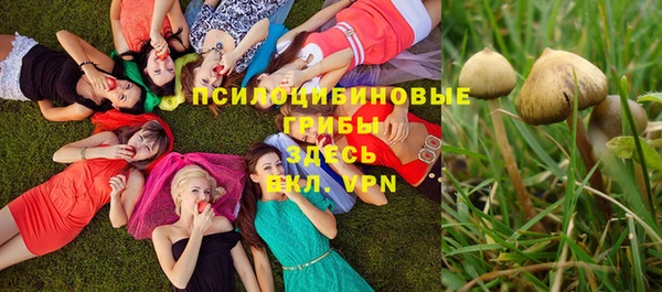 MDMA Алексин