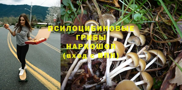 трава Арсеньев